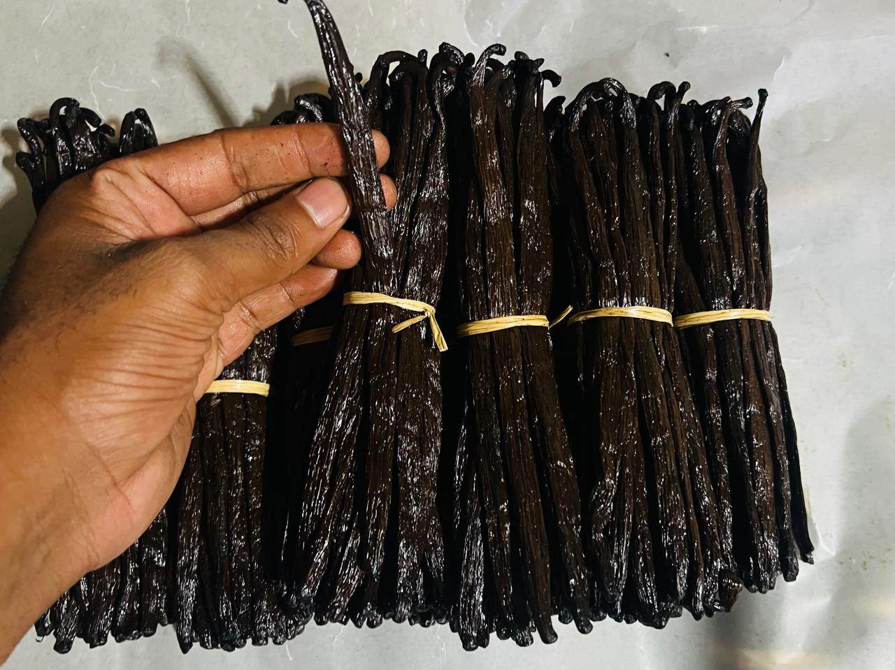 Bottes de vanille Bourbon de Madagascar
